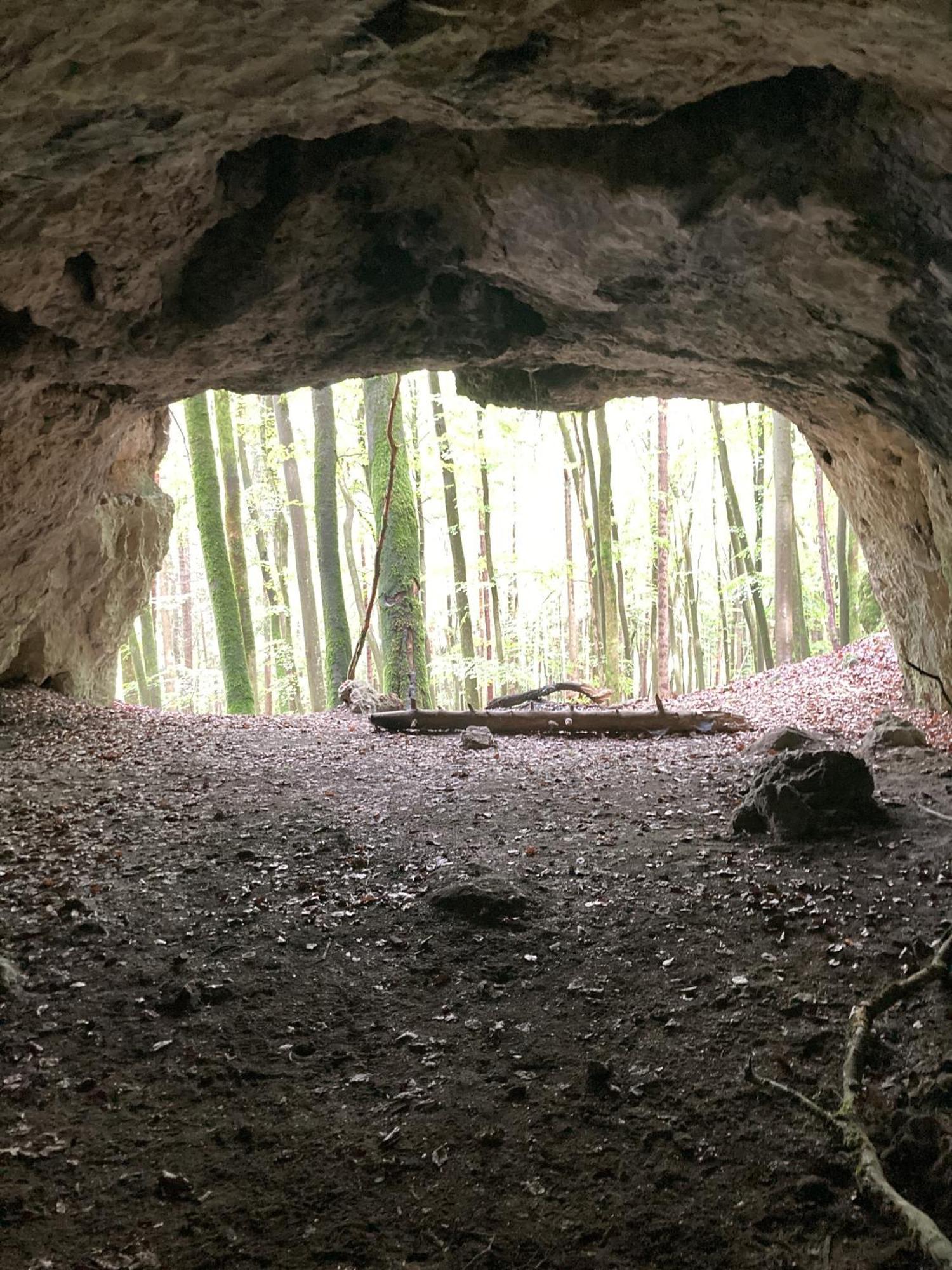Brunnerhof Urlaub Auf Dem Land Apartment Hartenstein  ภายนอก รูปภาพ