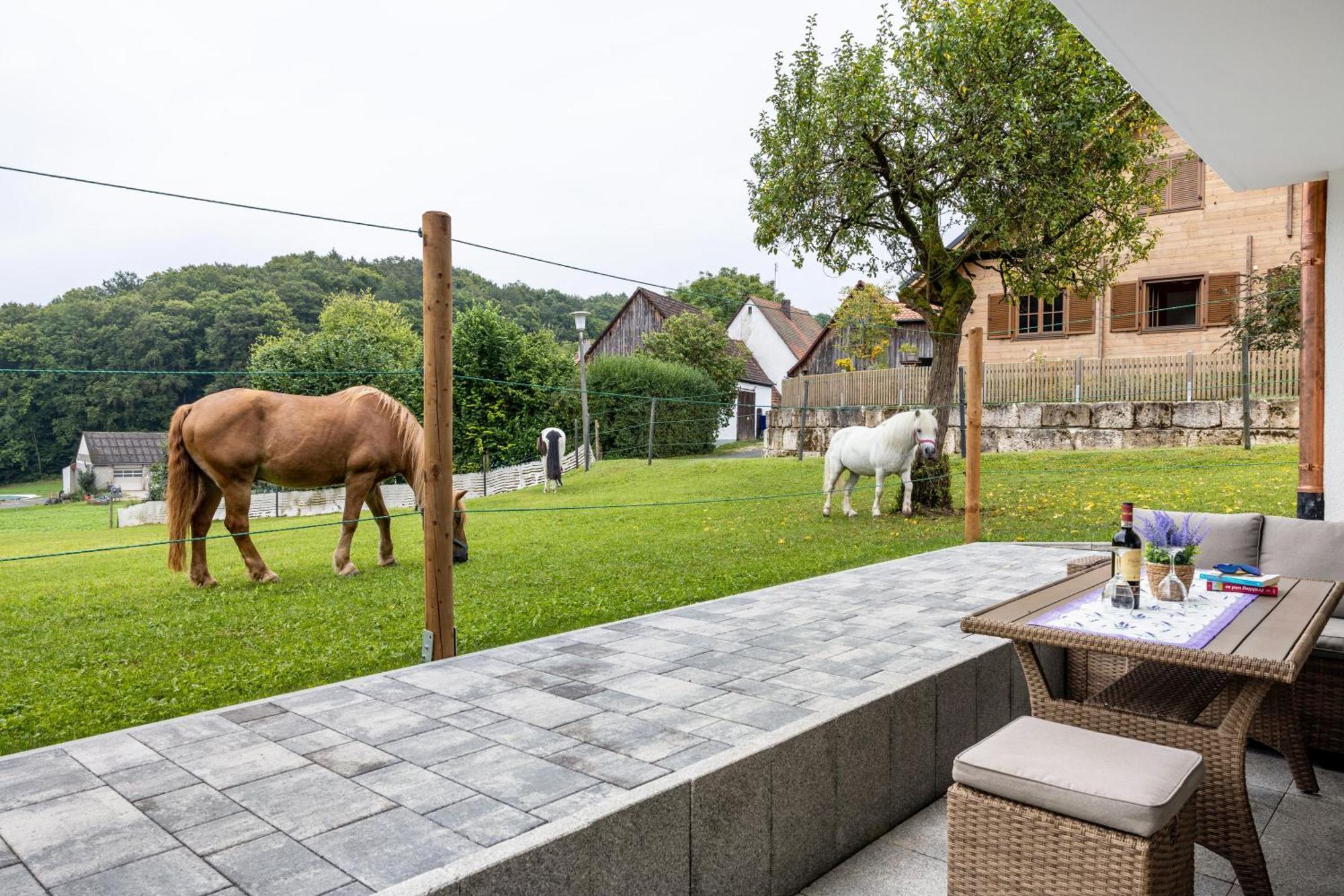Brunnerhof Urlaub Auf Dem Land Apartment Hartenstein  ภายนอก รูปภาพ